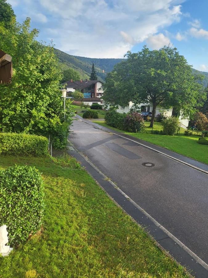 Ferienwohnung Freudenberg Фройденберг Экстерьер фото